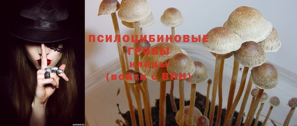 СК Алексеевка