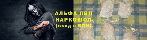 ешки Алексин