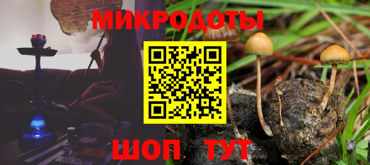 Лабытнанги  Галлюциногенные грибы мицелий  Вход с VPN 