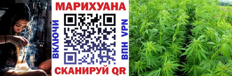 продажа наркотиков Лабытнанги Конопля сатива