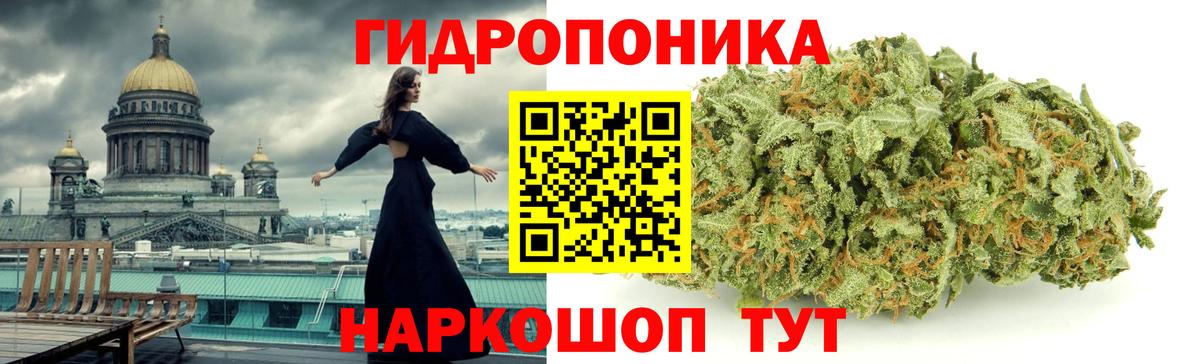 Каннабис OG Kush Лабытнанги